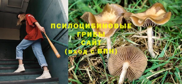 соль курить ск Абаза