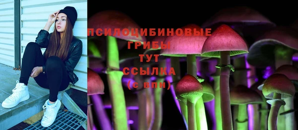 не бодяженный Алзамай