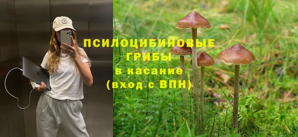 a pvp Абинск