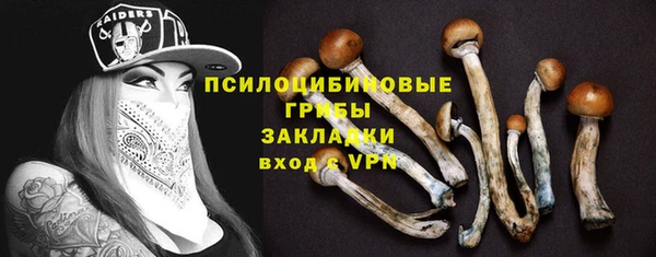 соль курить ск Абаза