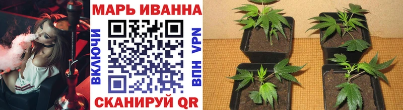 Конопля сатива наркотики Приволжский